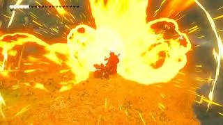 Thumbnail: the bomb flower