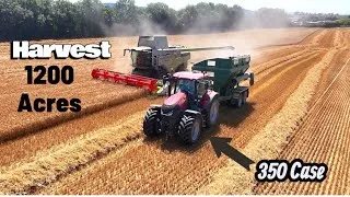 Thumbnail:     One MASSIVE Harvest in Cork, Howard feeds pull out the big gear. #farm #harvest #cows #sheep