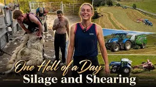 Thumbnail: The Busiest Day of the Summer on the Farm, CHAOS #farm #farming #cows #silage #sheep #irish #uk