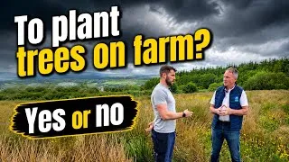 Thumbnail: Planting trees in Kerry, is this the way forward  #farm #farming #sheep #forests #treeplanting 