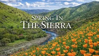 Thumbnail: Spring in the Sierra Nevada Is Pure Magic (You Have to See This)