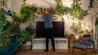 Thumbnail: A Decade of Plant Advice In One Ultimate Care Guide