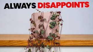Thumbnail: 10 Popular Plants You'll REGRET Buying