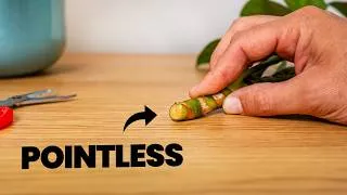 Thumbnail: STOP Wasting Your Time With This Nonsense