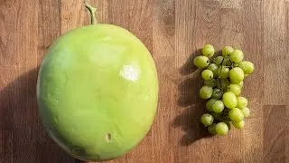 Thumbnail: big grape