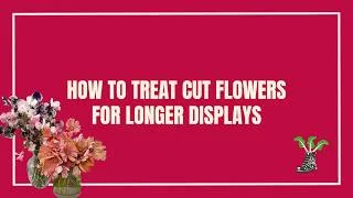 Thumbnail: How To Treat Cut Flowers for The Maximum Vase Life