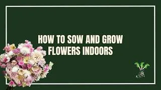 Thumbnail: How To Sow Flower Seed Early Indoors