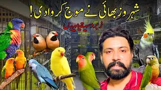 Thumbnail: Aj Shehroz Bhai Nay Moj Karwa Di 😍✅ || Bird Market Price Update 🥰