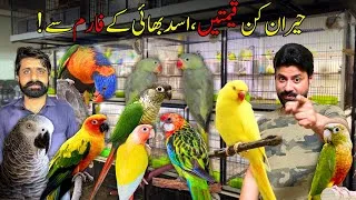 Thumbnail: Grey Parrot, Rosella & Suncheek Price Update 😇 || Asad Bhai Farm Se Birds Khareed Liye! 😲🥰