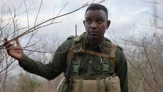 Thumbnail: Tracking Down Snares With Our Ithumba Anti-Poaching Team | Sheldrick Wildlife Trust