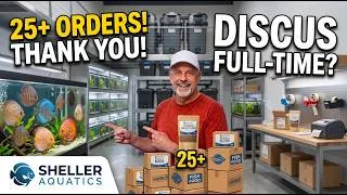 Thumbnail: Discus Breeding for Profit Update: Overwhelmed, Grateful & Vacation Recap