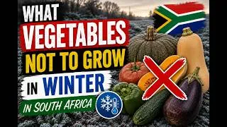 Thumbnail: DO NOT grow these vegetables in winter in South Africa!