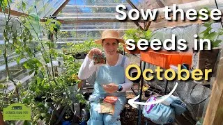 Thumbnail: Sow these seeds in OCTOBER