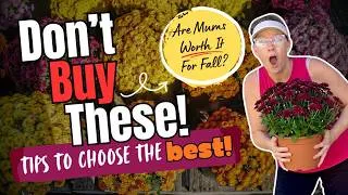 Thumbnail: 🍂🌼 Before You Buy Another Mum… WATCH THIS! 🌼🍂