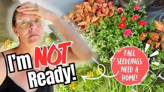 Thumbnail: I Grew All These Fall Plants… NOW WHAT?! 🌱🍂 Getting My Seedlings Ready for the Real World!