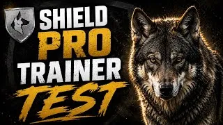 Thumbnail: Trainer Test with a Wolf Dog! Avery Kirstiuk PASS
