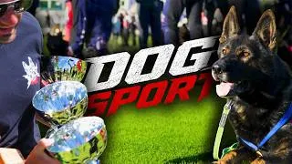 Thumbnail: The Boys are Back 🏆 | Dog Sport Ep 1 Season 2