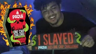 Thumbnail: The One Chip Challenge Almost Killed Me.