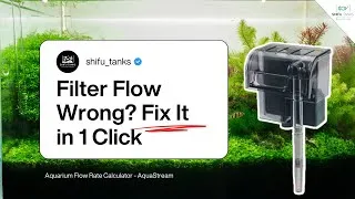 Thumbnail: Aquarium Flow Rate Calculator | Choose the Right Filter Size Every Time