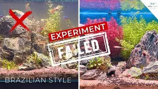 Thumbnail: Brazil Style Planted Tank Experiment FAILED | Learn from My Mistakes