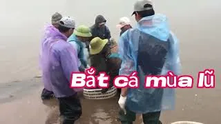 Thumbnail: Cảnh bắt cá mùa lũ bã \ Đánh bắt cá mùa lũ