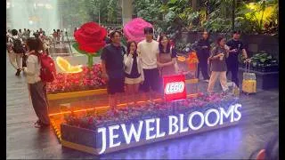 Thumbnail: Celebrate Jewel Blooms with Lego Botanicals | Jewel Changi Airport @ShineWalkingTour