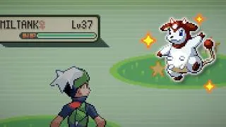 Thumbnail: I Found My Rarest Shiny Yet... (5% Safari Miltank + 3 Bonus Shinies)