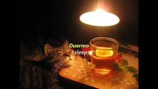 Thumbnail: King Krule - Energy Fleets (Sub. Español/Lyrics)