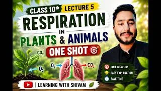 Thumbnail: 🔥 Respiration in Organisms | Class 10 Science | Lecture 5 | Learning with Shivam