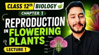 Thumbnail: Reproduction in Flowering Plants | Introduction & Structure of Flower | Class 12 Biology Lecture 1