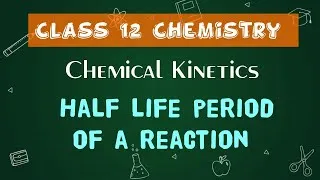 Thumbnail: Half life period of a reaction | Chemical Kinetics | 12th Chemistry | In Tamil