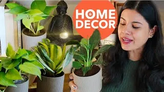 Thumbnail: Decorating Home With Live Plants | Home Decor Vlog 