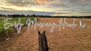 Thumbnail: EARLY MORNING HACK 🦌