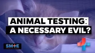Thumbnail: Animal Testing  - A Necessary Evil?