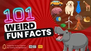 Thumbnail: 101 Weird Fun Facts That will Blow Your Mind | Interesting Facts