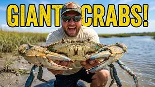 Thumbnail: Chasing Giant Crabs with No Bait!