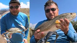 Thumbnail: Crabbing and Catching SLABS! Florida Redfish, Snook & Seatrout