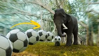 Thumbnail: Epic Football Rube Goldberg Machine | Satisfying CGi