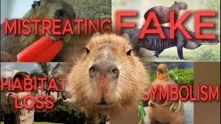 Thumbnail: The Hidden Truth Of Capybaras - Why Their Popularity Is Harmful For Them