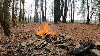 Thumbnail: Campfire Feast By The Forest Pond