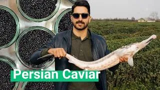 Thumbnail: Persian Caviar - Sturgeon Farming Explained
