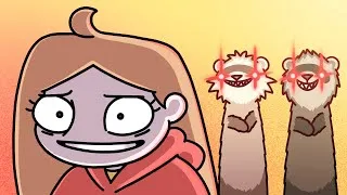 Thumbnail: Ferrets As Pets - ANIMATED