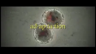 Thumbnail: ad-ap-ta-tion (The Essay Library Anthology, Vol. 7)