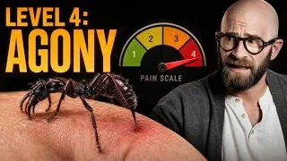 Thumbnail: The Most Agonising (Non-Lethal) Insect Bites and Stings