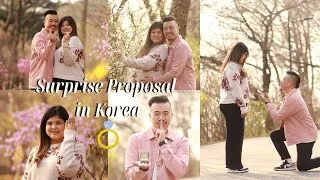 Thumbnail: Surprise Wedding Proposal at Namsan Park (Behind the Scenes) | Sidiaz Photography