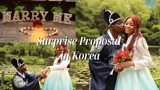 Thumbnail: Romantic Surprise Wedding Proposal in Seoul at Yeouido Han River Park | Seoul Photographer
