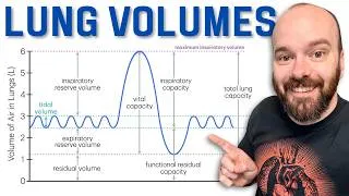 Thumbnail: Lung Volumes & Capacities