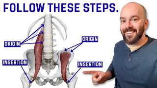 Thumbnail: Watch Me Learn Muscle Origins & Insertions (Real Study Demo)