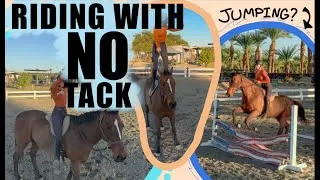Thumbnail: RIDING HENRY WITH NO TACK!?!? BAD IDEA!!