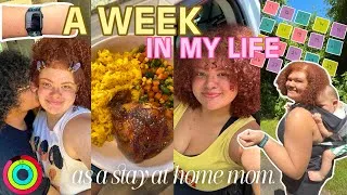 Thumbnail: WEEKLY VLOG| mom life,  meal prep, soft 30 challenge, & BLW thoughts!!